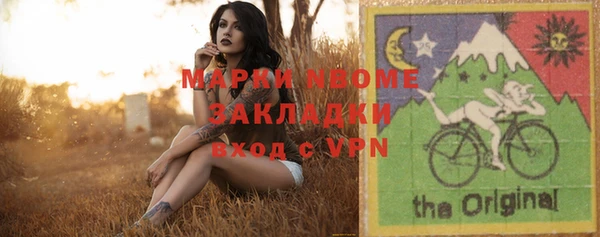 шишки Приозерск